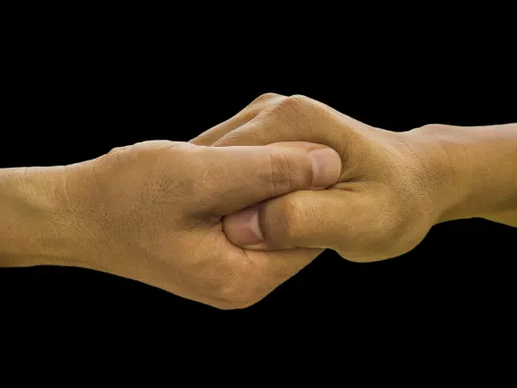 BlueFox Kasyno Wsparcie